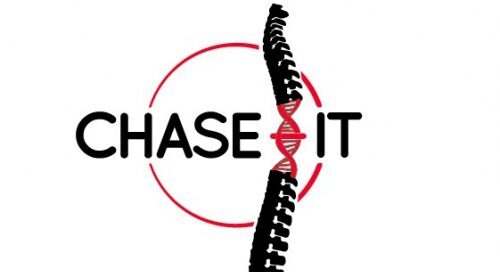 Ch’ase gene therapy for spinal cord injury recovery