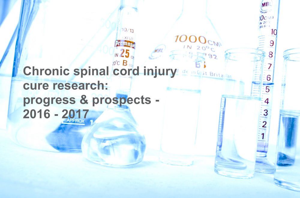 Cure Spinal Cord Injury Research 2016 – 2017