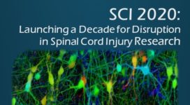 NIH Disruption in cure spinal cord injury research